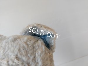 画像4: アンティークブルーテディベア