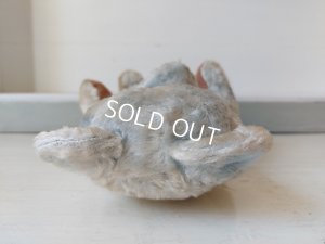 画像6: アンティークブルーテディベア