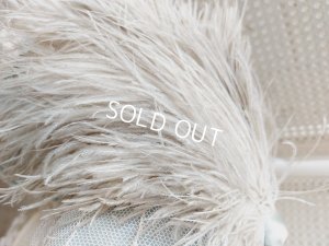 画像18: アンティ―クレースドールドレス＆ボネ