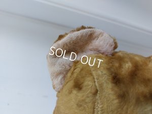 画像9: アンティークフレンチテディベア