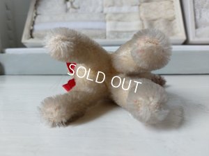 画像13: シュタイフ猫