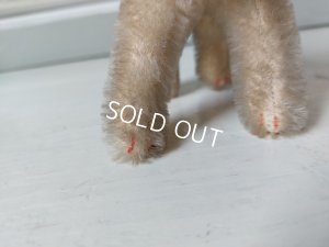 画像12: シュタイフ猫