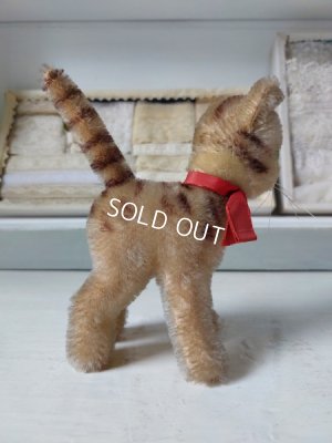 画像5: シュタイフ猫