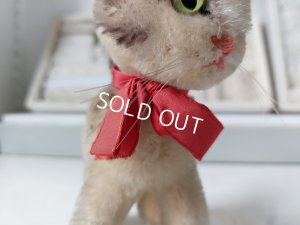 画像11: シュタイフ猫