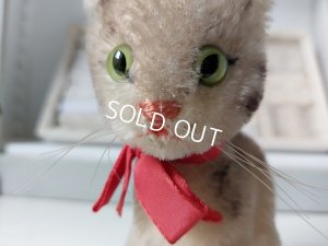 画像9: シュタイフ猫