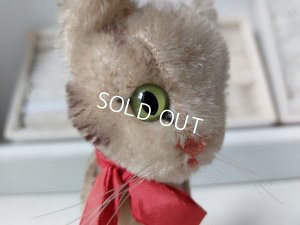 画像10: シュタイフ猫