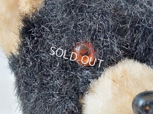 画像8: アンティークテディベア