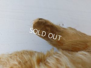 画像13: アンティークテディベア