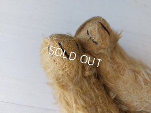 画像14: アンティークテディベア