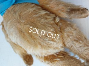 画像10: アンティークテディベア