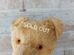 画像8: アンティークテディベア