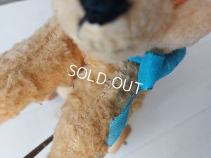 画像14: フレンチ車輪付きドッグ