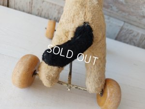 画像8: フレンチ車輪付きドッグ