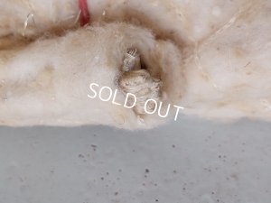 画像18: クリスマスコットンコスチュームアンティークビスクドール