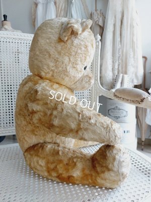 画像9: アンティークテディベア
