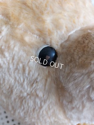 画像7: アンティークテディベア