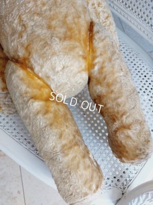 画像8: アンティークテディベア