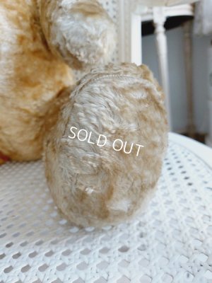 画像13: アンティークテディベア