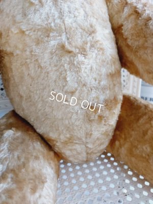 画像12: アンティークテディベア