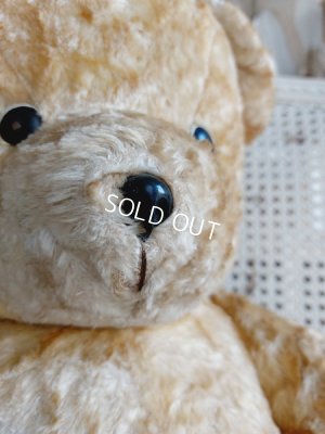 画像5: アンティークテディベア