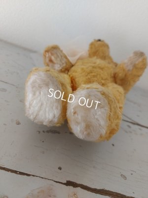 画像13: アンティークテディベア