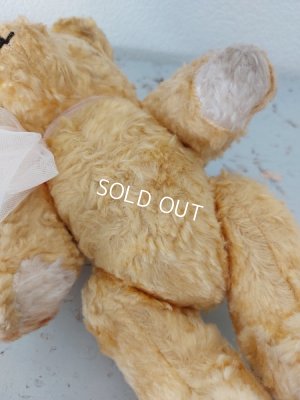 画像16: アンティークテディベア