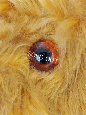 画像13: アンティークテディベア