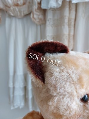 画像4: アンティークテディベア