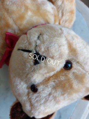 画像22: アンティークテディベア