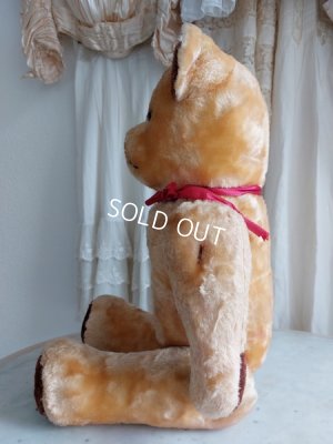 画像13: アンティークテディベア