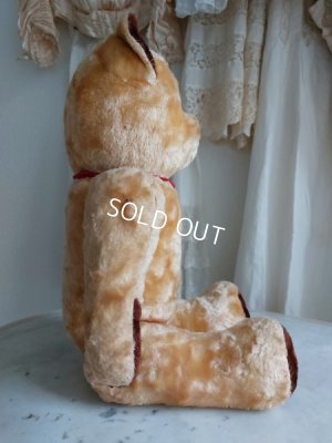 画像15: アンティークテディベア