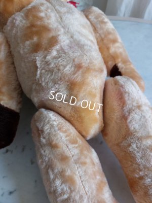 画像17: アンティークテディベア