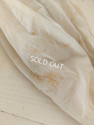 画像11: Hertwig&Coブロンドチャイナヘッドドール