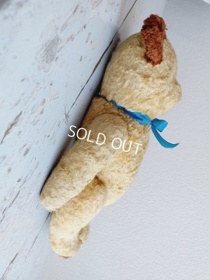 画像8: アンティークテディベア