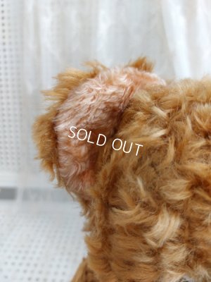 画像15: アンティークフレンチテディベア