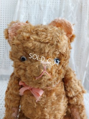 画像2: アンティークフレンチテディベア