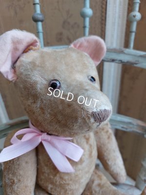 画像8: アンティークフレンチテディベア