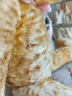 画像15: アンティークテディベア