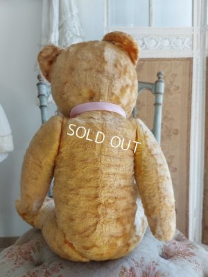 画像9: アンティークテディベア