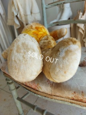 画像11: アンティークテディベア