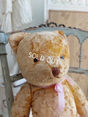画像2: アンティークテディベア