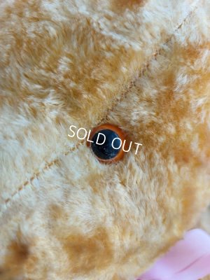 画像4: アンティークテディベア