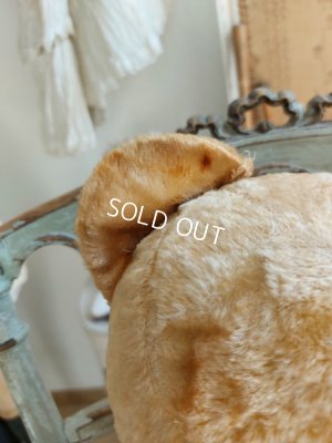 画像5: アンティークテディベア