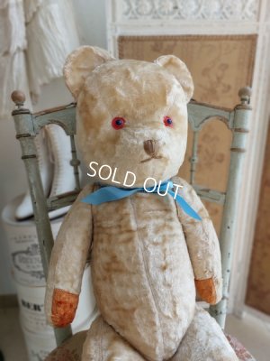 antiquebigteddybear