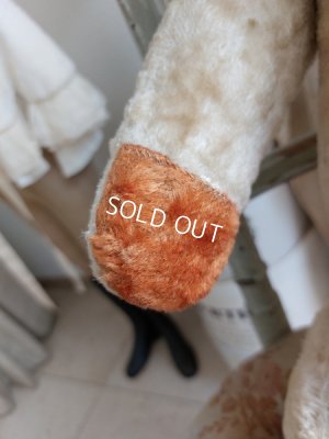 画像12: アンティーク大きなテディベア