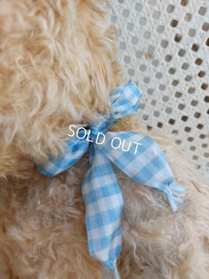 画像3: アンティークフレンチテディベア