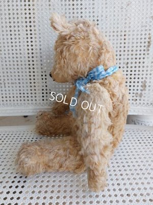 画像4: アンティークフレンチテディベア