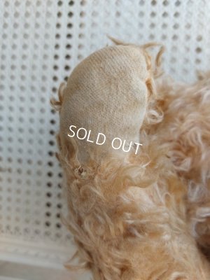 画像18: アンティークフレンチテディベア