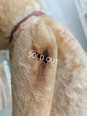 画像19: アンティークJPMテディベア