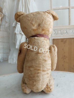 画像12: アンティークJPMテディベア